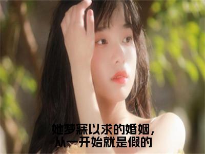 她梦寐以求的婚姻，从一开始就是假的（方玲玲梁祈安）全文免费阅读_方玲玲梁祈安（她梦寐以求的婚姻，从一开始就是假的）最新章节列表