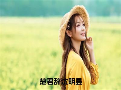 沈明昙楚君辞（楚君辞沈明昙）小说在线阅读-最新小说楚君辞沈明昙（沈明昙楚君辞）全文阅读