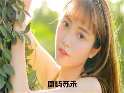苏禾周屿（周屿苏禾）全文免费阅读无弹窗大结局_苏禾周屿最新章节列表_（周屿苏禾）