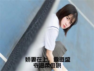 洛婉盛擎小说 娇妻在上，霸道盛爷温柔低哄全文免费阅读无弹窗-正版小说（ 娇妻在上，霸道盛爷温柔低哄）洛婉盛擎全文阅读