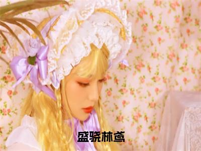 盛骁林鸢高赞小说（盛骁林鸢）完结阅读_盛骁林鸢全文完整版免费阅读最新章节列表