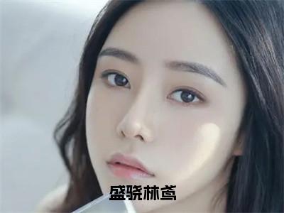 盛骁林鸢小说（盛骁林鸢）完整版大结局-盛骁林鸢小说免费阅读