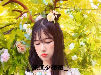 宋凤夕秦萧玦小说最新章节试读_秦萧玦宋凤夕是（宋凤夕秦萧玦）小说主角热门推荐_（秦萧玦宋凤夕）
