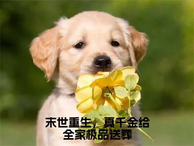 （热推新书）《末世重生，真千金给全家极品送葬》全文免费阅读无弹窗大结局_阮泠苒裴晋无弹窗全文阅读