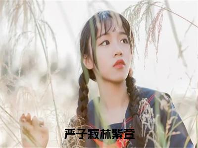 严子寂林紫萱小说全文免费阅读无弹窗大结局_林紫萱严子寂最新章节列表_