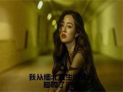 我从缅北重生归来一脚嘎了渣男小说全文免费阅读无弹窗大结局_靳斯言陆知夏最新章节列表_