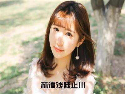 林清浅陆止川小说（陆止川林清浅）全文免费林清浅陆止川阅读无弹窗大结局-（陆止川林清浅）