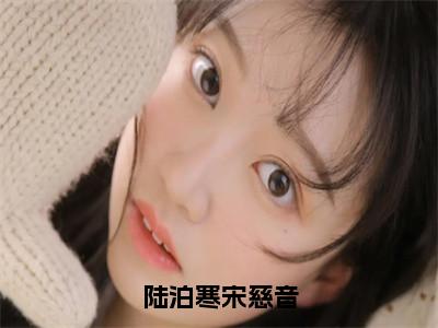 陆泊寒宋慈音小说（宋慈音陆泊寒）小说全文免费宋慈音陆泊寒读无弹窗大结局（陆泊寒宋慈音）