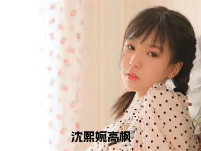 沈熙婉高枫（沈熙婉高枫）全文免费阅读无弹窗大结局_沈熙婉高枫小说最新章节列表_