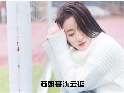 苏朝暮沈云延小说（沈云延苏朝暮）精彩免费小说_苏朝暮沈云延全文免费阅读无弹窗大结局