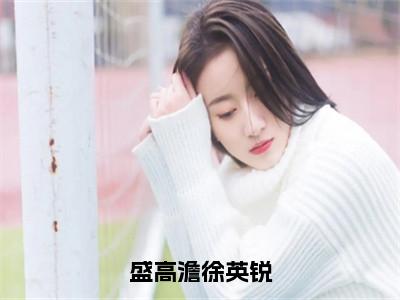 盛高澹徐英锐（徐英锐盛高澹）免费全文阅读小说_徐英锐盛高澹最新章节列表（盛高澹徐英锐）