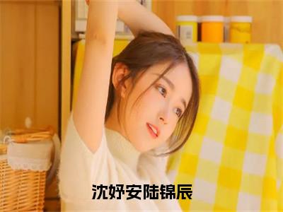 陆锦辰沈妤安（沈妤安陆锦辰）全文在线免费阅读无弹窗_陆锦辰沈妤安最新章节列表_