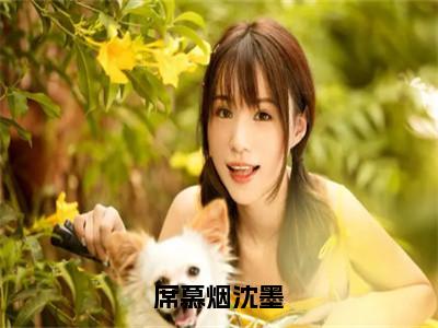 席慕烟沈墨免费阅读（沈墨席慕烟）完整版全文全章节阅读